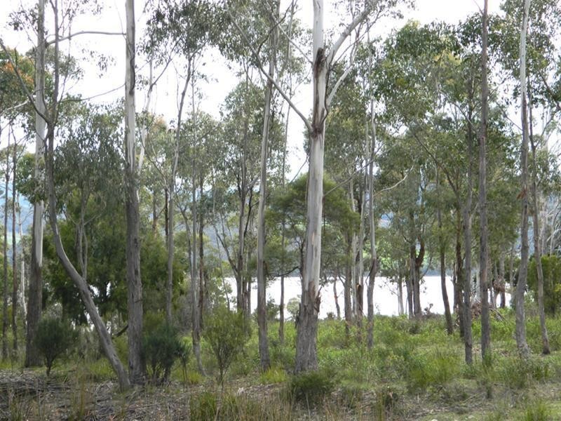 12 Walters Road, Wattle Grove TAS 7109