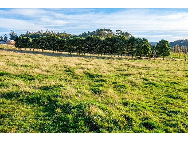 74 Judds Hill Road, Geeveston TAS 7116