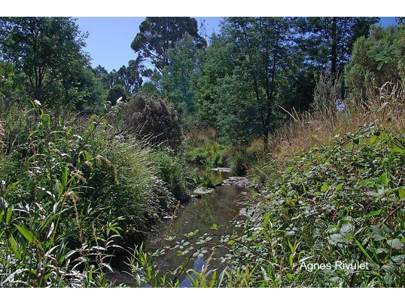 19 Norris Street, Cygnet TAS 7112