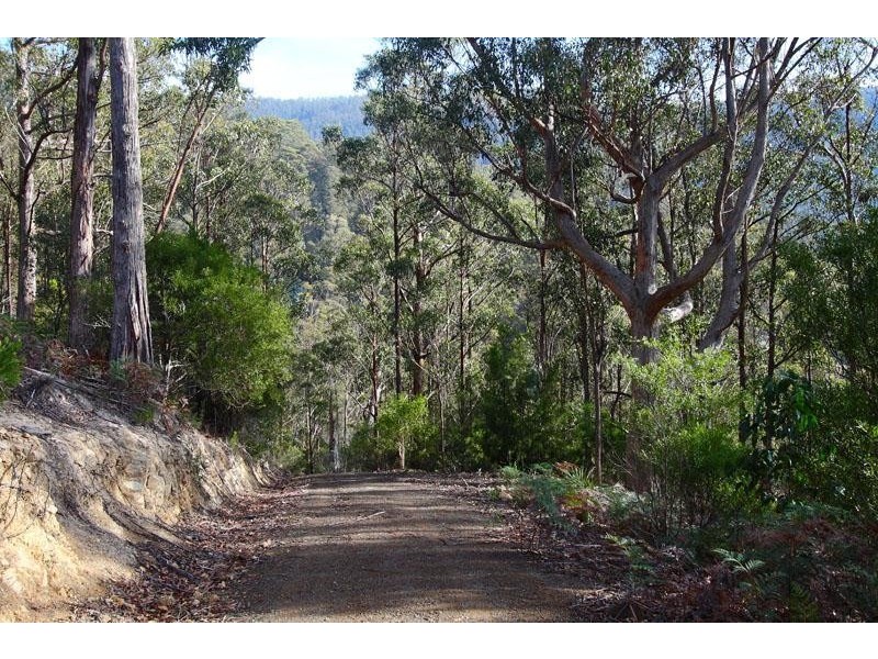 Lot 1 Bakers Creek Road, Lucaston TAS 7109