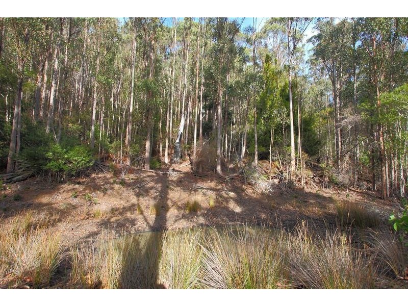 Lot 1 Bakers Creek Road, Lucaston TAS 7109