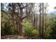 Lot 1 Bakers Creek Road, Lucaston TAS 7109