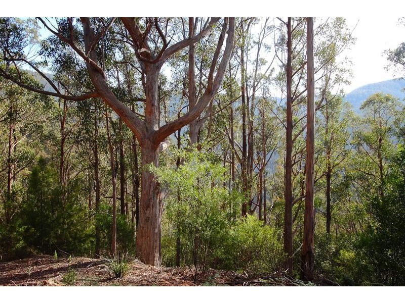 Lot 1 Bakers Creek Road, Lucaston TAS 7109