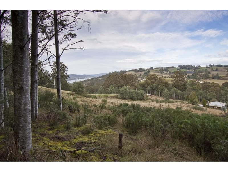 154 Jacksons Road, Franklin TAS 7113