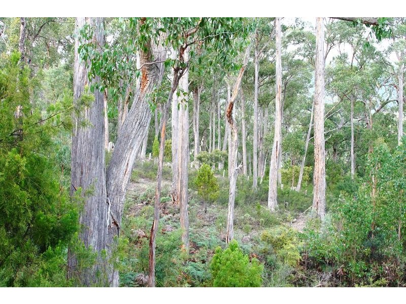 58 Conlans Road, Huonville TAS 7109