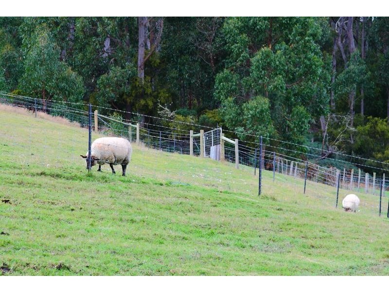 58 Conlans Road, Huonville TAS 7109