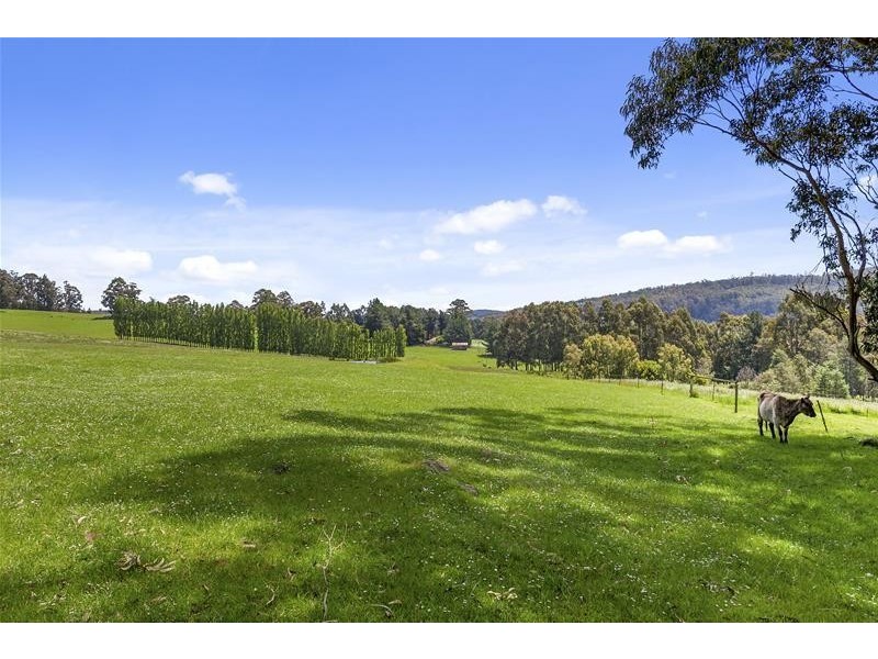 4 Flakemore Road, Franklin TAS 7113