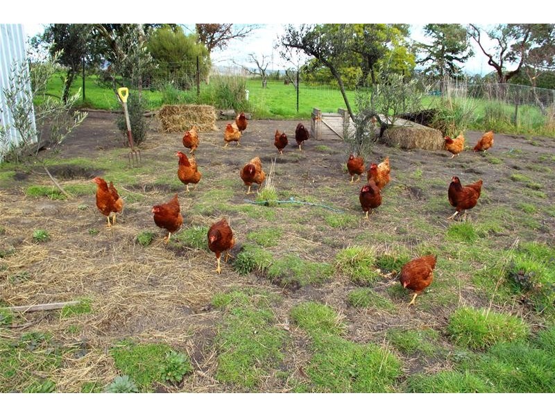 29 Cradoc Hill Road, Cradoc TAS 7109