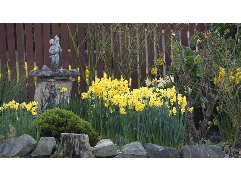 7128 Huon Highway, Dover TAS 7117