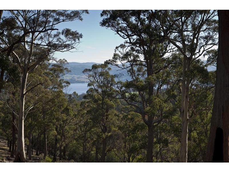 LOT 3 Wattle Grove Road, Wattle Grove TAS 7109