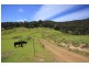 LOT 3 Wattle Grove Road, Wattle Grove TAS 7109