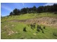 LOT 3 Wattle Grove Road, Wattle Grove TAS 7109
