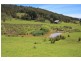 LOT 3 Wattle Grove Road, Wattle Grove TAS 7109