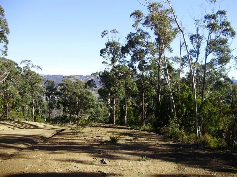 LOT 3 Tobys Hill Road, Cygnet TAS 7112