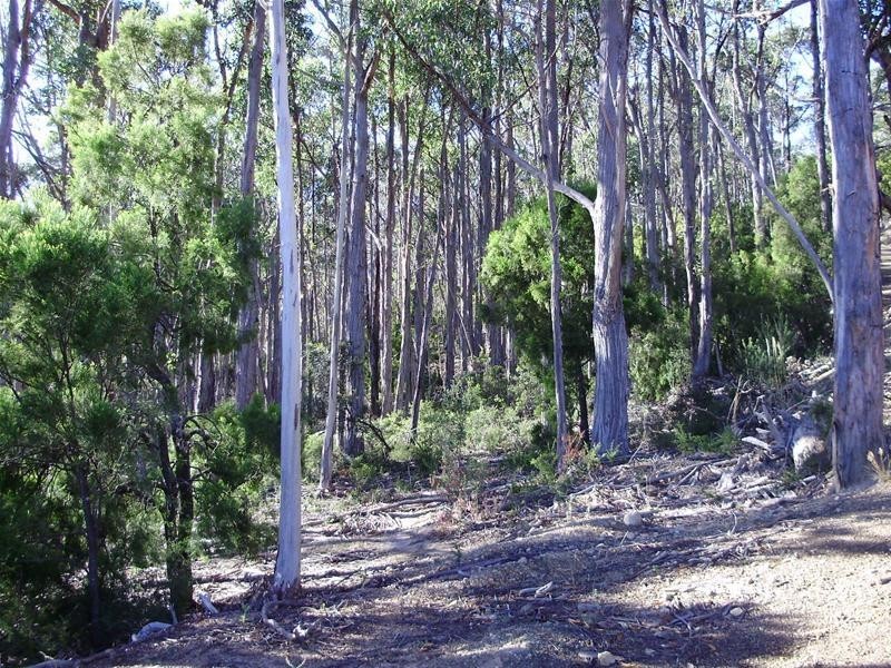 LOT 3 Tobys Hill Road, Cygnet TAS 7112