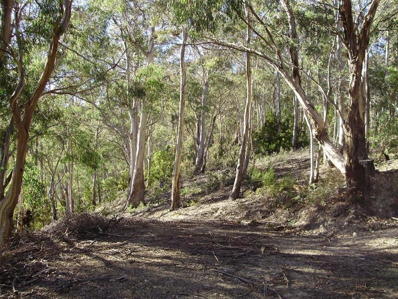 LOT 3 Tobys Hill Road, Cygnet TAS 7112