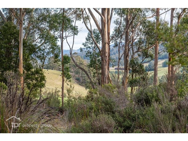Lot 1 off Sepia Road, Mountain River TAS 7109