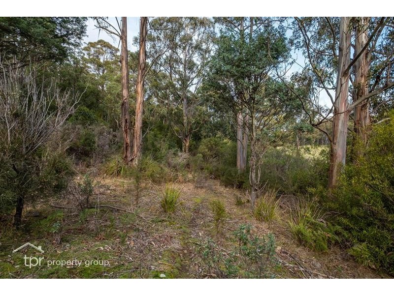 Lot 1 off Sepia Road, Mountain River TAS 7109