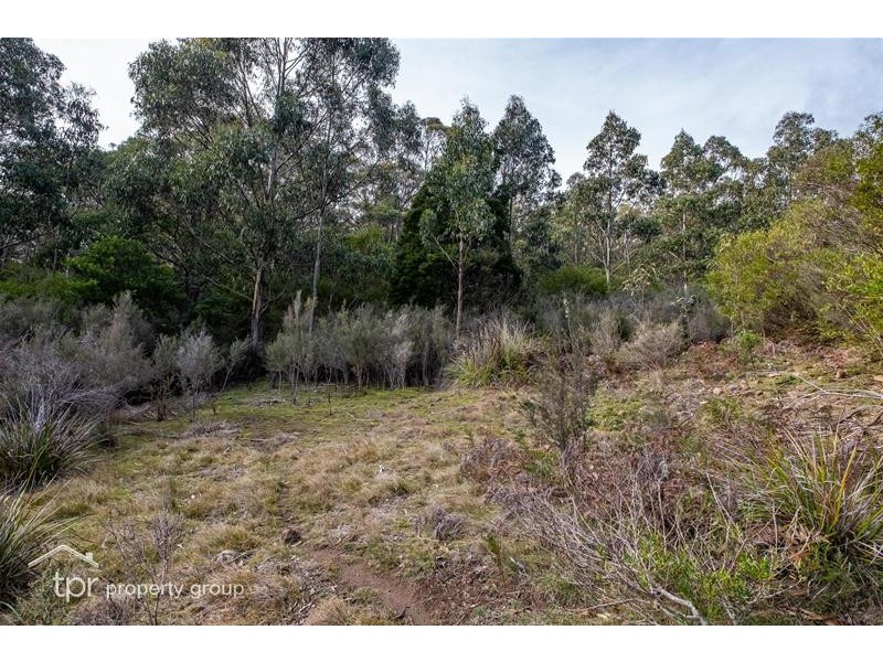 Lot 1 off Sepia Road, Mountain River TAS 7109