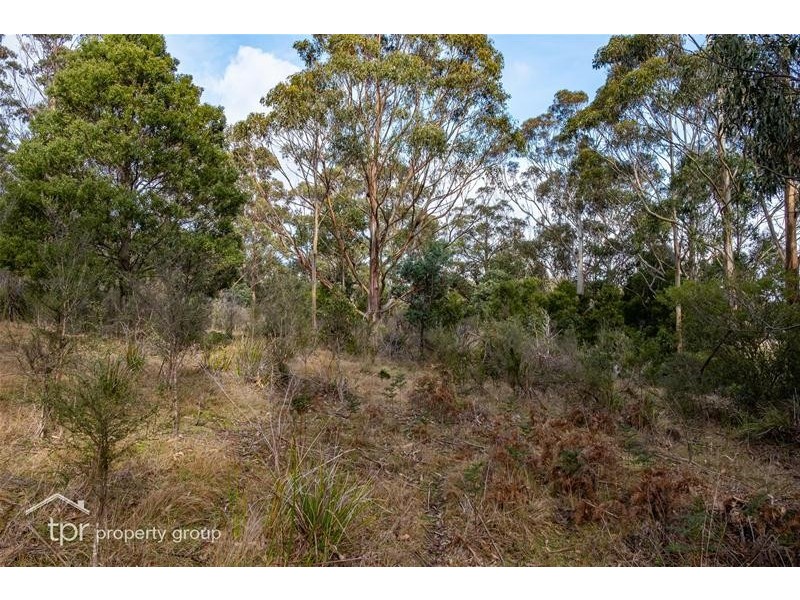 Lot 1 off Sepia Road, Mountain River TAS 7109