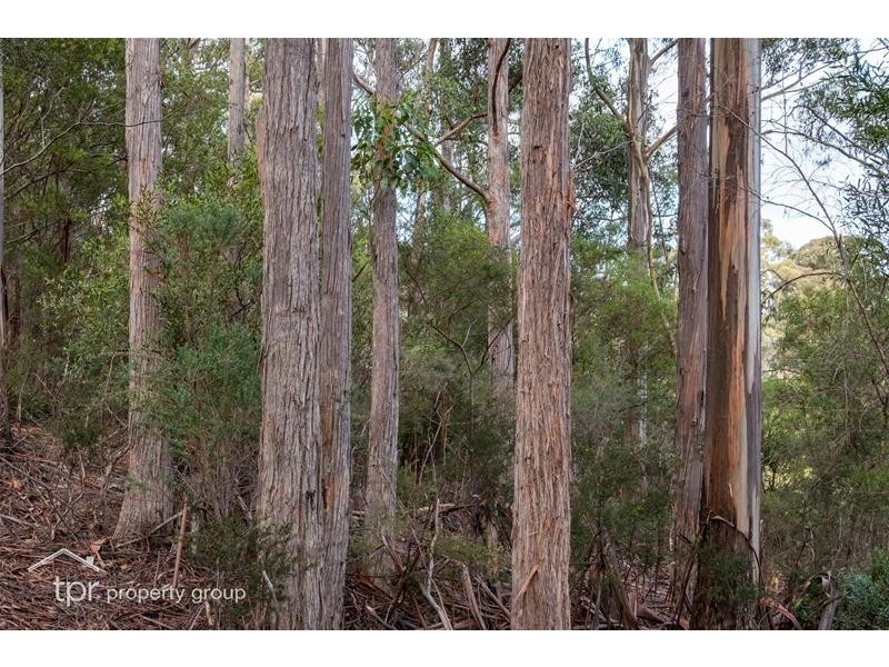 Lot 1 off Sepia Road, Mountain River TAS 7109