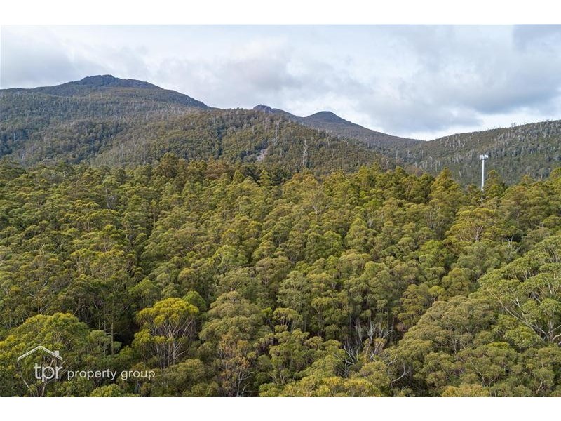 Lot 1 off Sepia Road, Mountain River TAS 7109