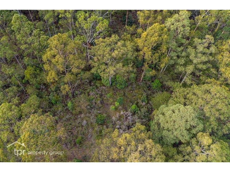 Lot 1 off Sepia Road, Mountain River TAS 7109