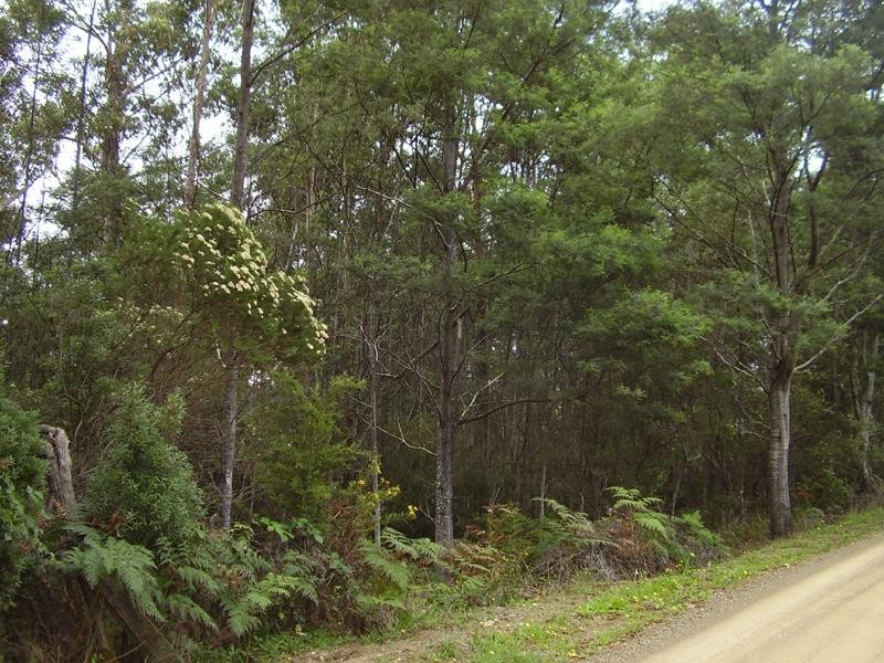 10 McClyments Road, Raminea TAS 7109