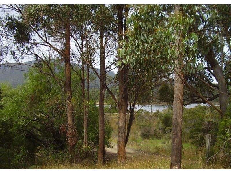 10 McClyments Road, Raminea TAS 7109