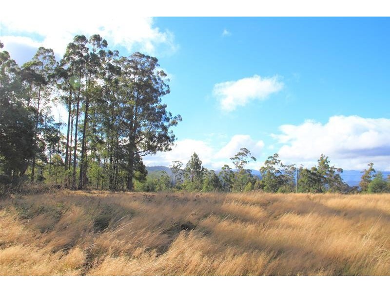 54 Ballantyne Heights, Franklin TAS 7113