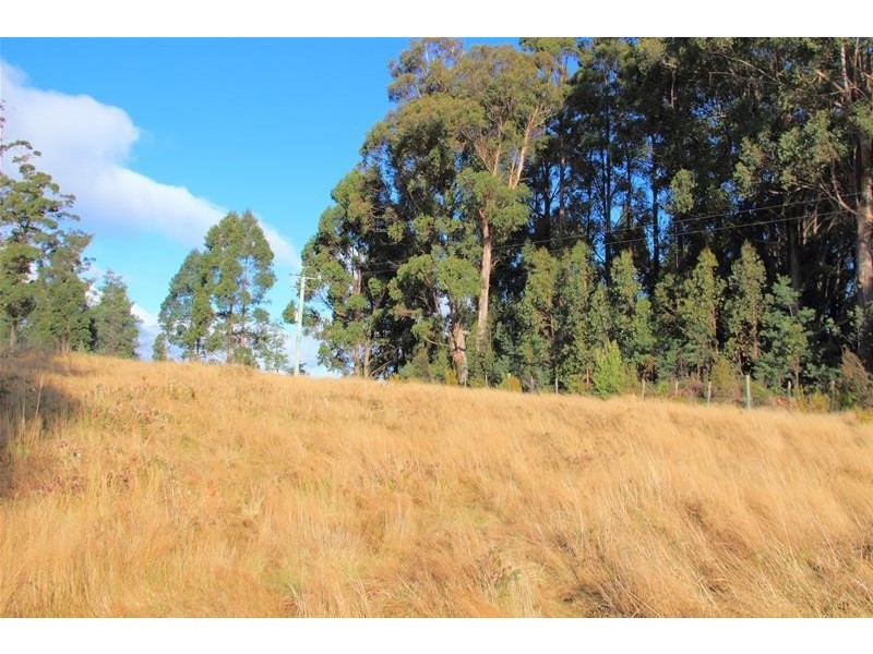 54 Ballantyne Heights, Franklin TAS 7113