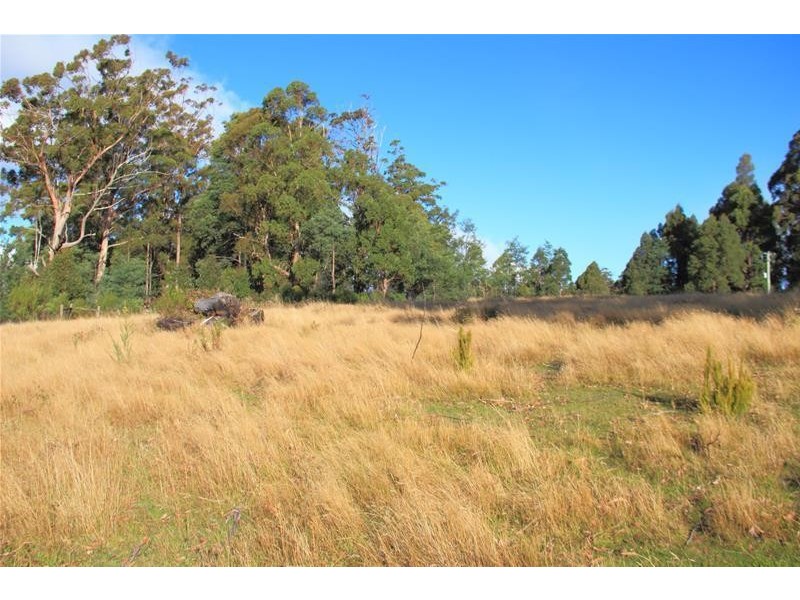 54 Ballantyne Heights, Franklin TAS 7113