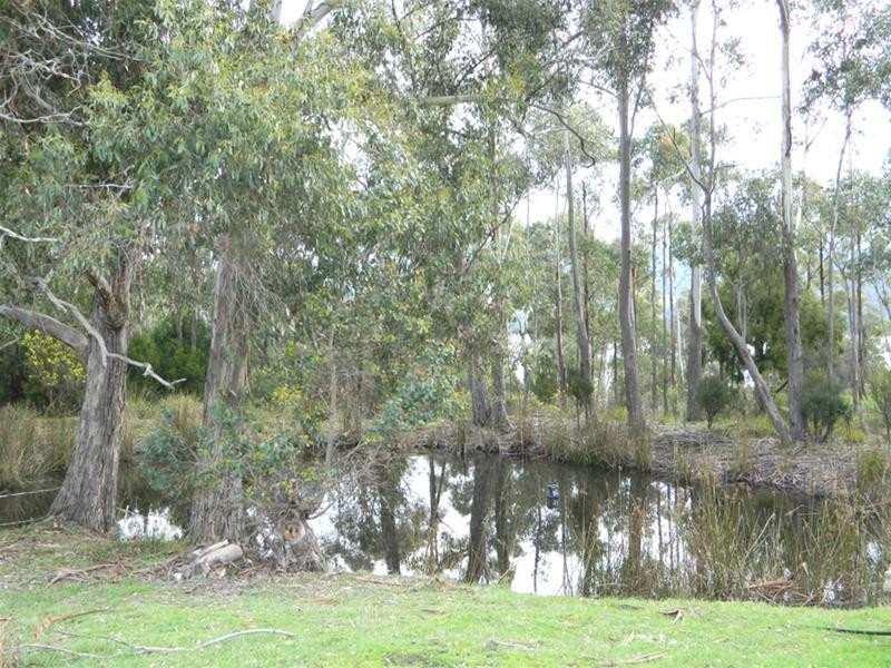 12 Walters Road, Wattle Grove TAS 7109