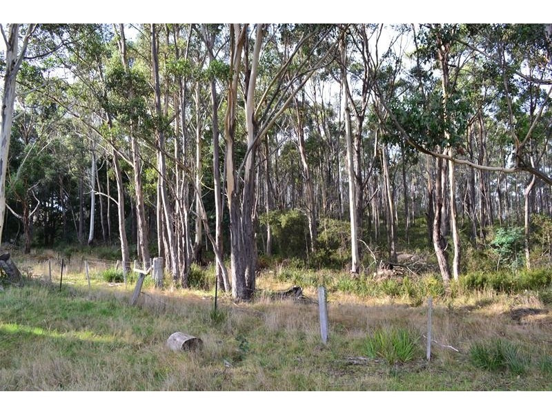 HOPE Valley Lane, Mountain River TAS 7109