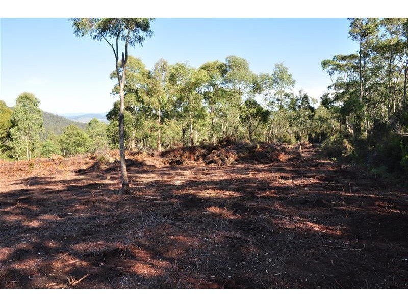 228624/1 Brittains Road, Garden Island Creek TAS 7112