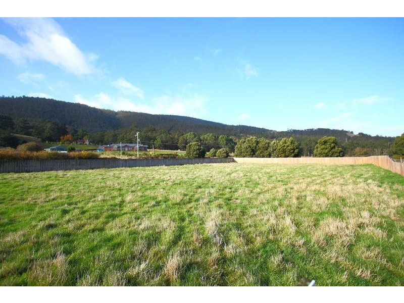 20 Ellison Street, Huonville TAS 7109