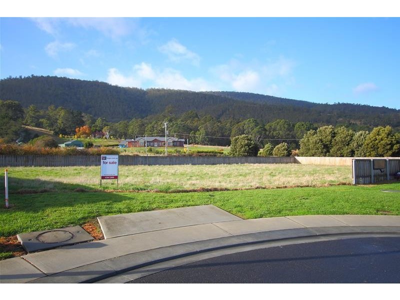 20 Ellison Street, Huonville TAS 7109