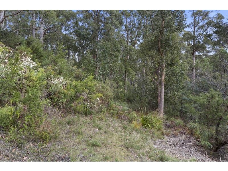 284 Cowens Road, Gardners Bay TAS 7112