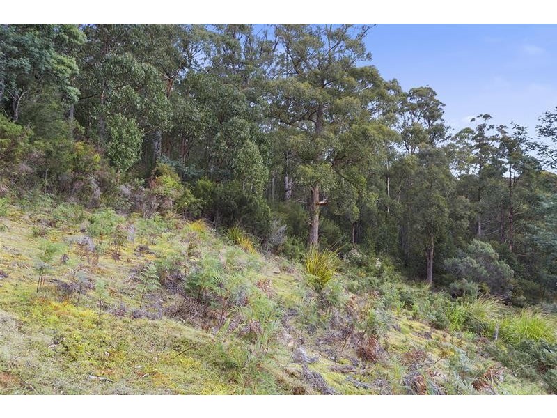 284 Cowens Road, Gardners Bay TAS 7112