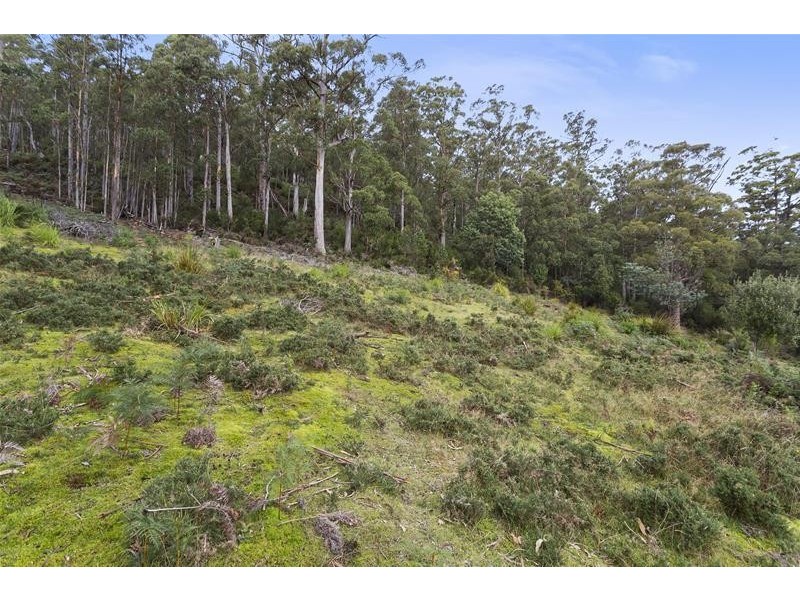 284 Cowens Road, Gardners Bay TAS 7112