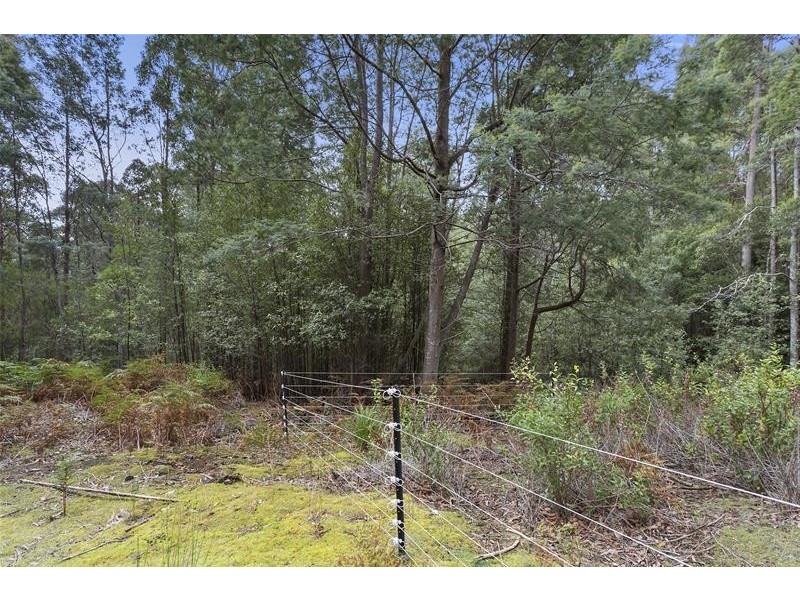 284 Cowens Road, Gardners Bay TAS 7112