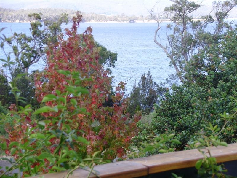 320 Esperance Coast Road, Brooks Bay TAS 7116