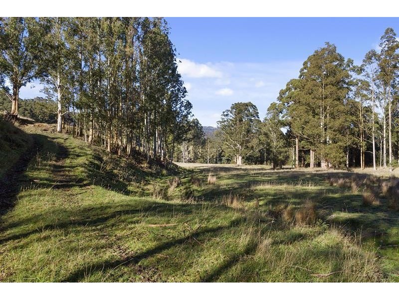 700 Mountain River Road, Mountain River TAS 7109