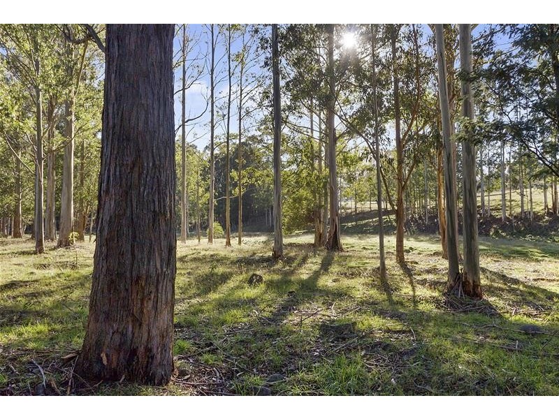 700 Mountain River Road, Mountain River TAS 7109