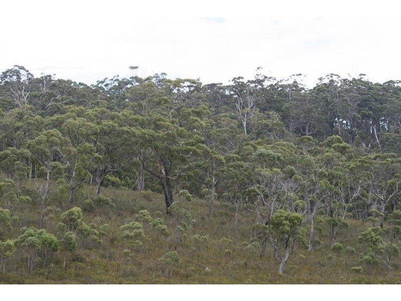 6 Lots off Ida Bay Road, Ida Bay TAS 7109