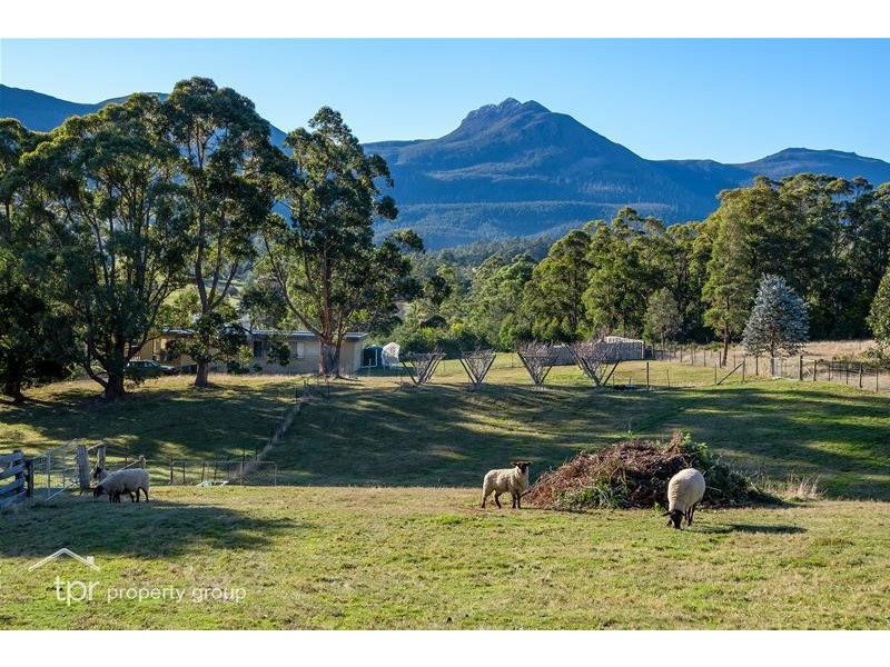 5 Misty Hill Road, Mountain River TAS 7109