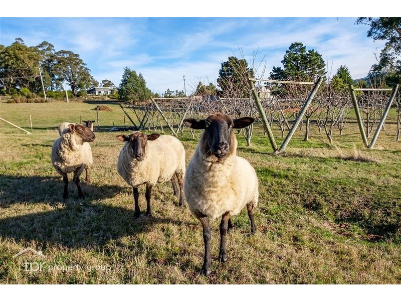 5 Misty Hill Road, Mountain River TAS 7109