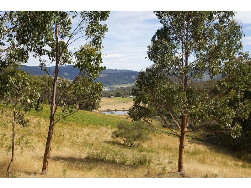 1 Cemetary Road, Cradoc TAS 7109