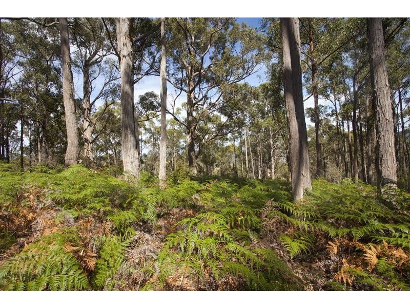 1 Cemetary Road, Cradoc TAS 7109