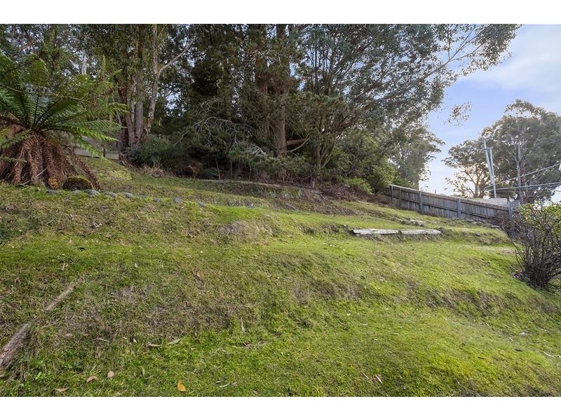 194 Strickland Avenue, South Hobart TAS 7004